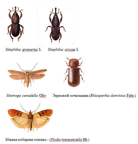 AgroHim(1)