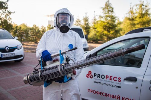 Лучший техник-дезинфектор компании «PROPECS»