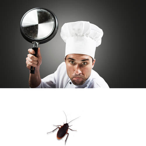 restaurant-pest-extermination