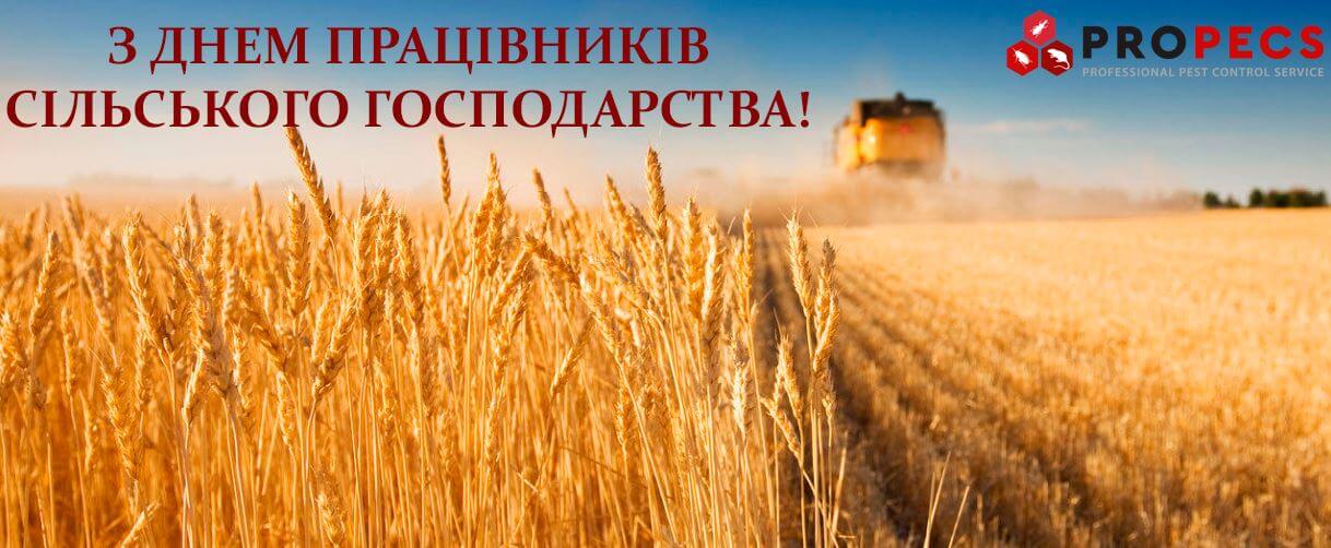 ккккн