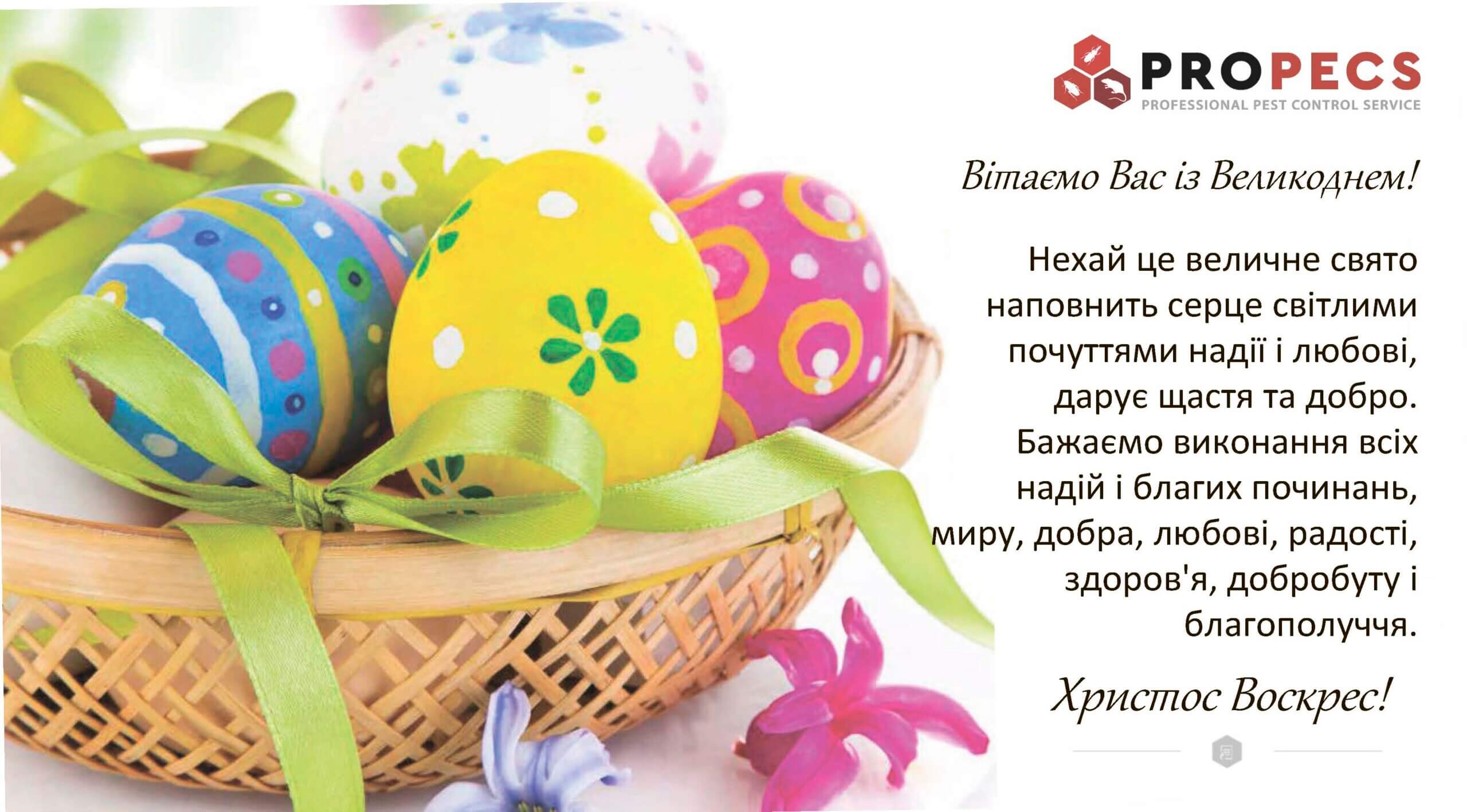 Новина