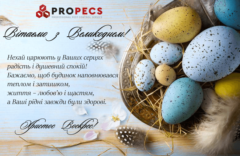Пропекс вітає з Великоднем фото