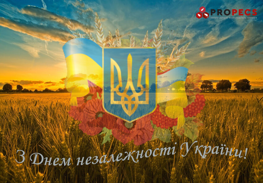З Днем незалежності України!