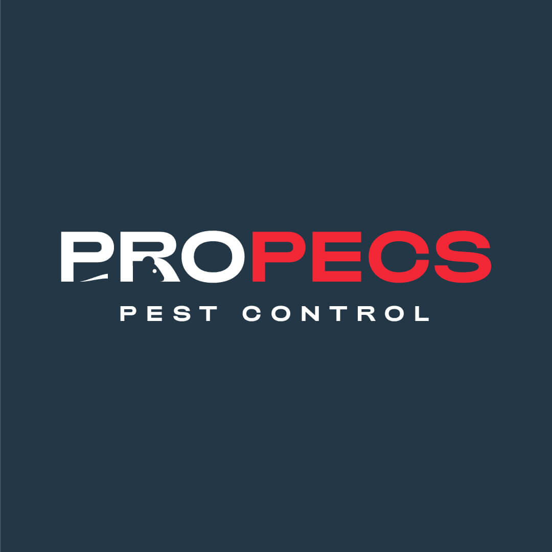 PROPECS меняется и совершенствуется!