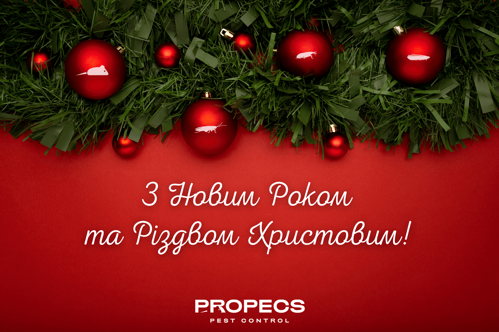 З Новим 2021 Роком!