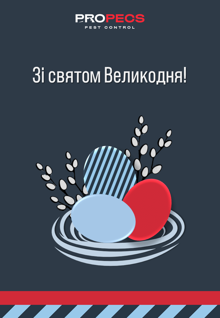 Зі святом Великодня!