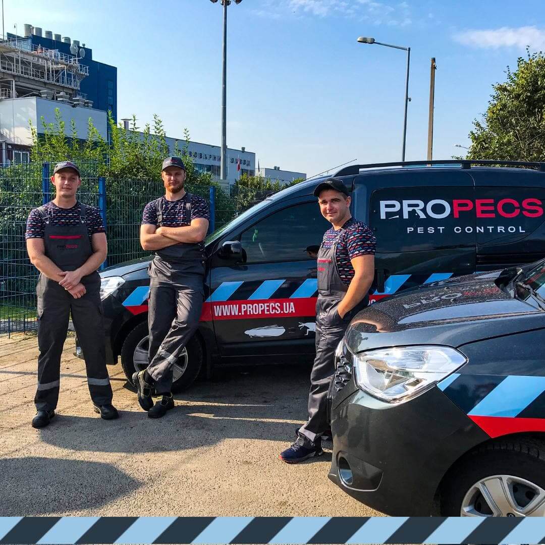 Чем грозят вредители пищевым предприятиям? Pest Control