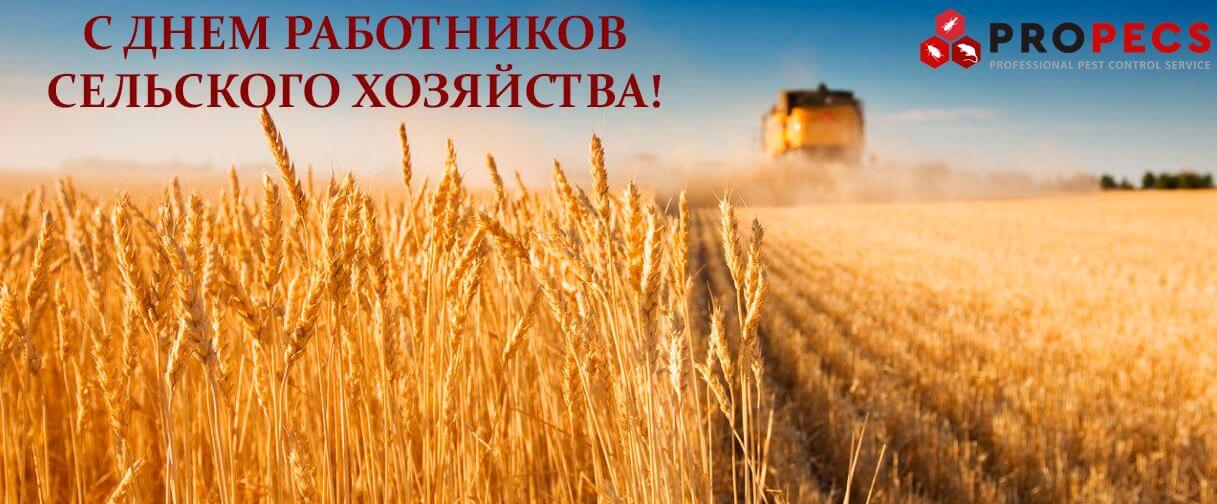 руская