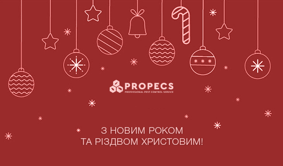 нншн