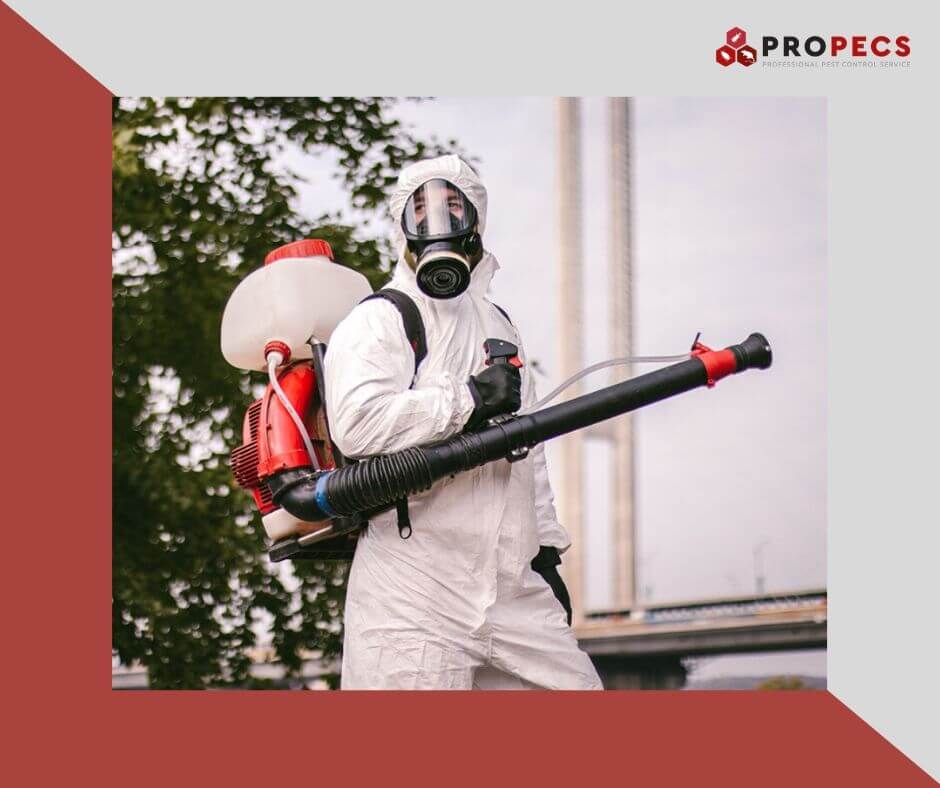 Дезинфекция ресторана, кафе. Услуги дезинфекции