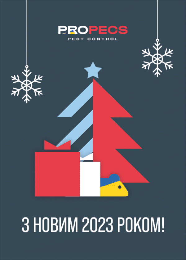 С Новым 2023 годом!