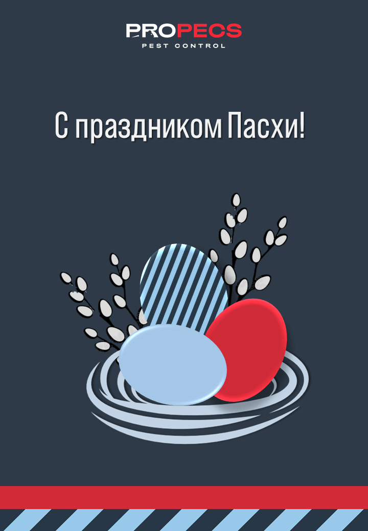 С праздником Пасхи!